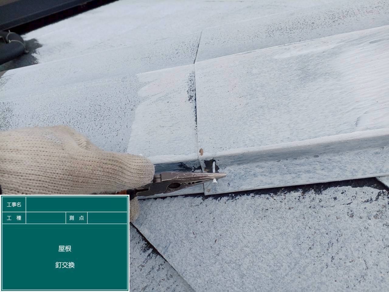 棟板金の緩んだ釘を抜く